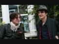 Pete Doherty New Love Grows on Trees 