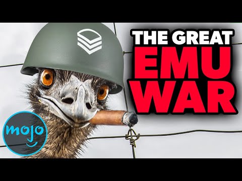 十大實際發生的最古怪的歷史事件 (Top 10 Weirdest Historical Events That Actually Happened)