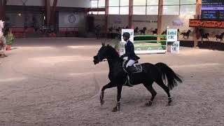 Parcours prometteurs au Mans