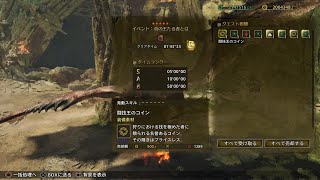 真の王たるものとは　操虫棍　1'43"33