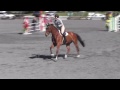 Video Of Fergus Ridden By GILLIAN GRANT From ShowNet