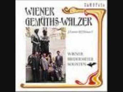 Kettenbrückenwalzer op.4 von Johann Strauß Vater