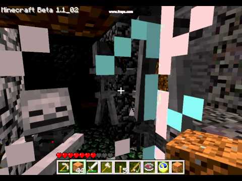 Minecraft - Skeleton Wrestling 2010-12-28.avi