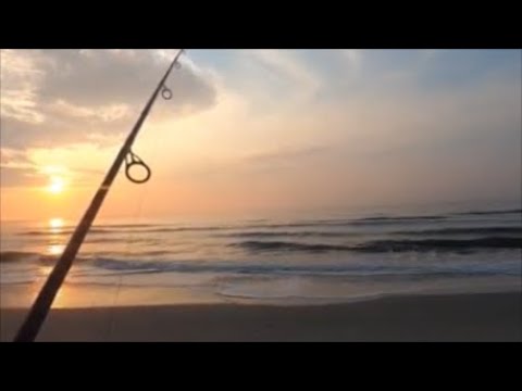How To Surf Fish:  Beginners Guide To Surf/Beach Fishing