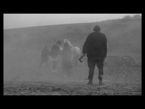 The Turin Horse - The Gypsies