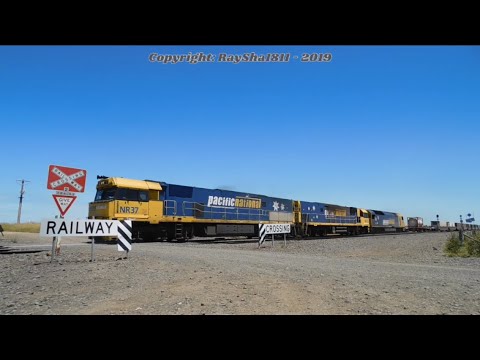 7MP5 - NR37-NR73-AN3 (PacNat) Gheringhap - Australian Trains by Raysha1811