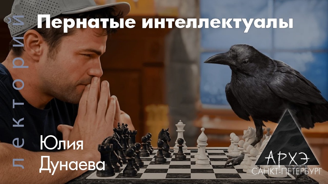 Юлия Дунаева: Пернатые интеллектуалы