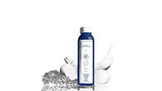 Beat Connection - "Thought Through" (Full Album Stream)