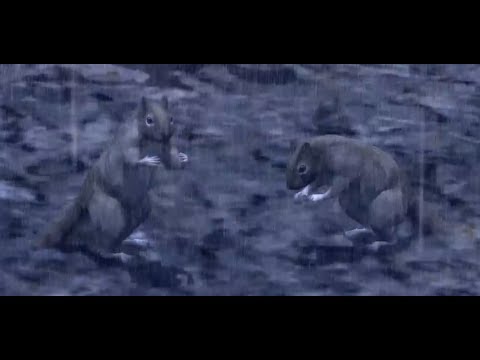 Deadly Premonition - Squirrel Monkey