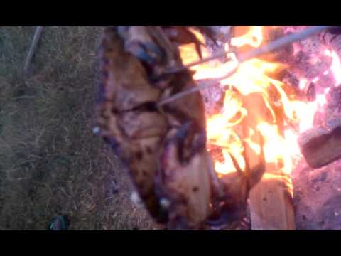 Ryan Nixon adventures