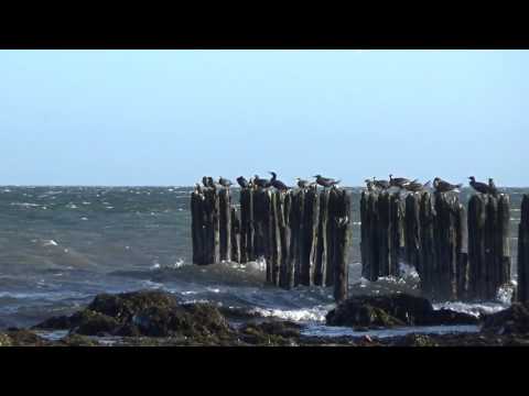 Rügen im November 2015