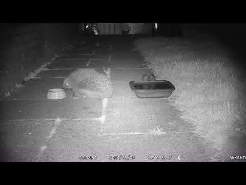 STC 0019, rustig eten is er ook niet bij