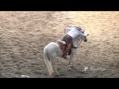 Manganas on Horseback - Charro Excellence Pachuca 2013