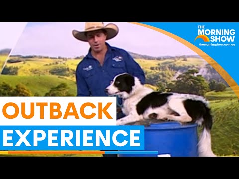 Tom Curtain hits the road for the 'Good Life Tour' | Sunrise