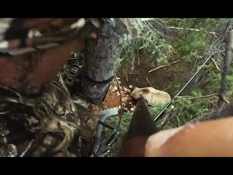 To Spear the Grizz 3, Chronicle 27