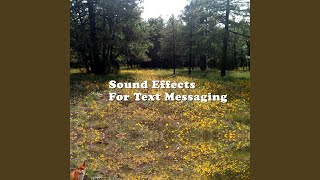 Incoming (Text Tone)