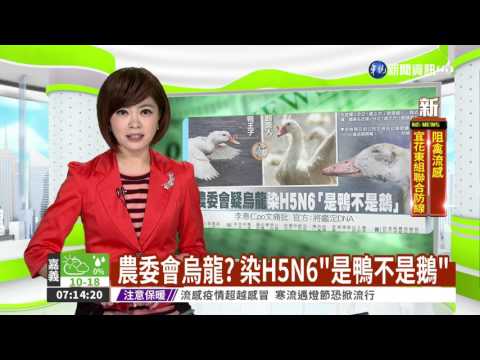 農委會烏龍? 染H5N6"是鴨不是鵝"