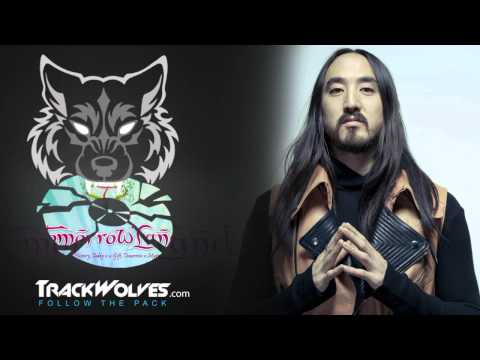 Steve Aoki - Live @ Tomorrowland 2013 (Belgium) - 26.07.2013