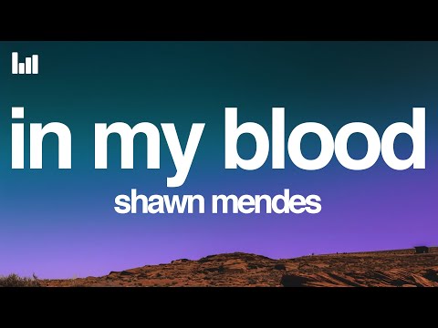Shawn Mendes - In My Blood (Lyrics)