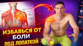 Боль под лопаткой, кифоз, сутулость пройдут, если делать такой самомассаж