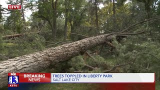 Liberty Park suffers massive tree damage