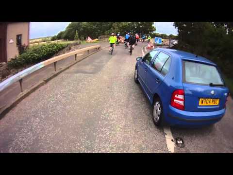 A very patient driver