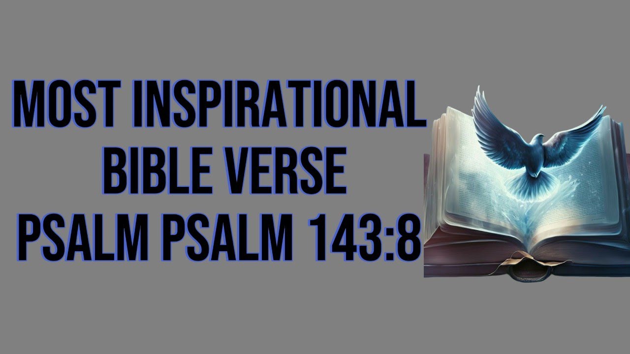 Morning Motivation: Trusting God with Your Life  Psalm 143:8 #motivation#bibleverse#quotes
