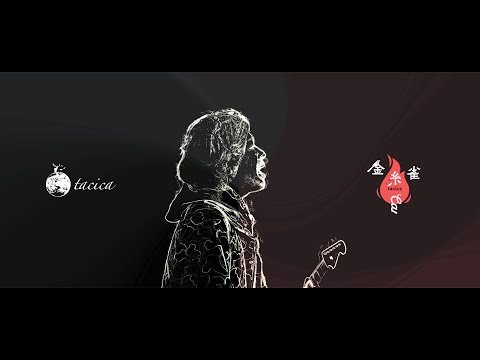 tacica『金糸雀』(Music Video)