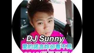 DJ SUNNY(王绎龙) -电音之王 (The King of Electro Music)