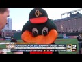The Oriole Bird talks to ABC2's Brendan McNamara on Opening Day