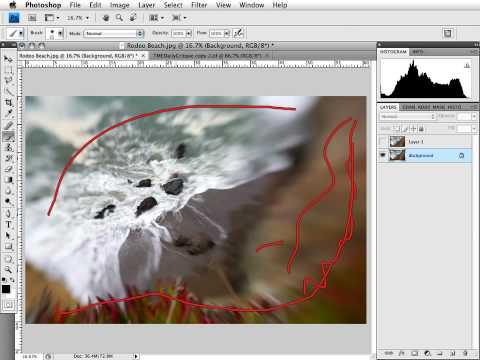 The Daily Critique (9/07/09) TMELive.com