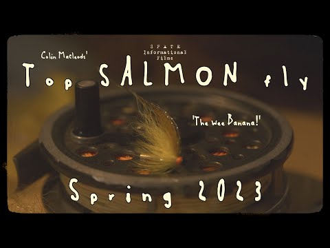 TOP-LACHSFLIEGEN IM FRÜHJAHR 2023 | SPATE Lachsangeltipps