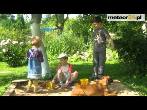 Agro-Chata - Łącko meteor24.pl