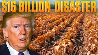 Trump’s Trade War Just Destroyed American Farmers