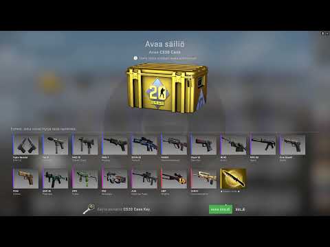 I opened the new csgo (cs:20) case...