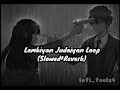 Lambiyan Judaiyan but it's 25 min loop✨(Slowed+Reverb)