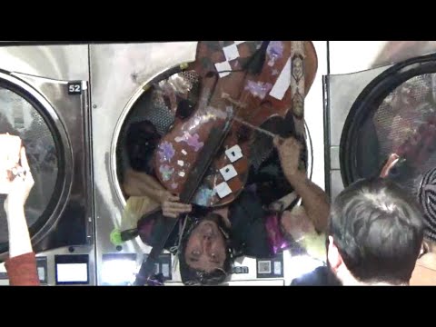 cello goblin gets stuck in a dryer