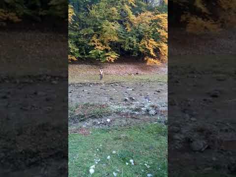 Grota Atlanta a preotilor.Motru Sec