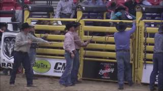 2016 Benny Binion Sale - High Selling Futurity Bronc
