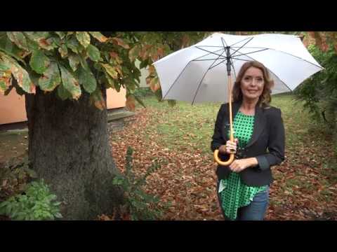 Agro karavan ep. 92 06.10.2019. Plandište