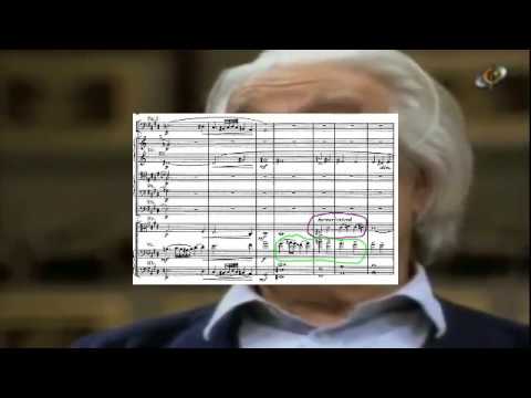 Viola! Viola! Viola! Che cosa chiede Celibidache?