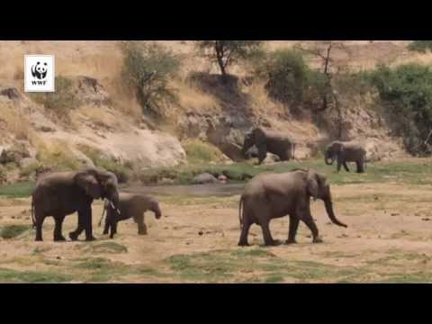 Hugo 93 år - Jag är stolt fadder!