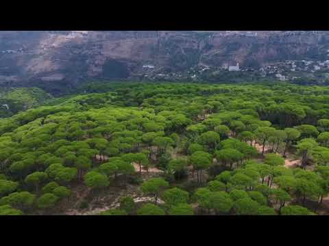 LIZOT, Boney M. - Daddy Cool