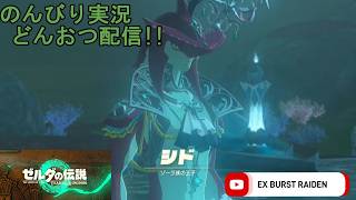 どんおつ配信「ゼルダの伝説 ティアーズオブザキングダム」28