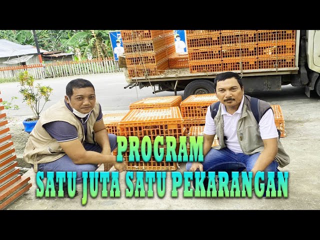 Satu Juta Satu Pekarangan Sektor Peternakan