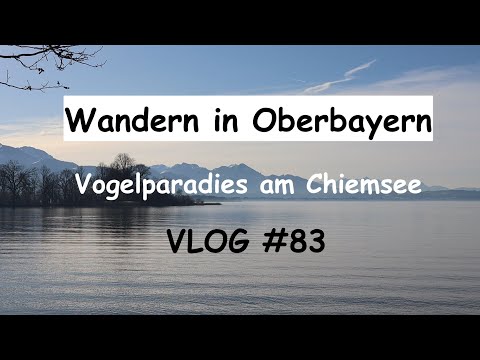 Wandern in Oberbayern (08.02.2020): Lachsgang/Achenspitz - VLOG #83