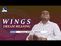 Wings Dream Meaning - Angel Wings Biblical Interpretation