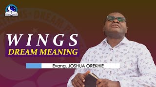 Wings Dream Meaning - Angel Wings Biblical Interpretation