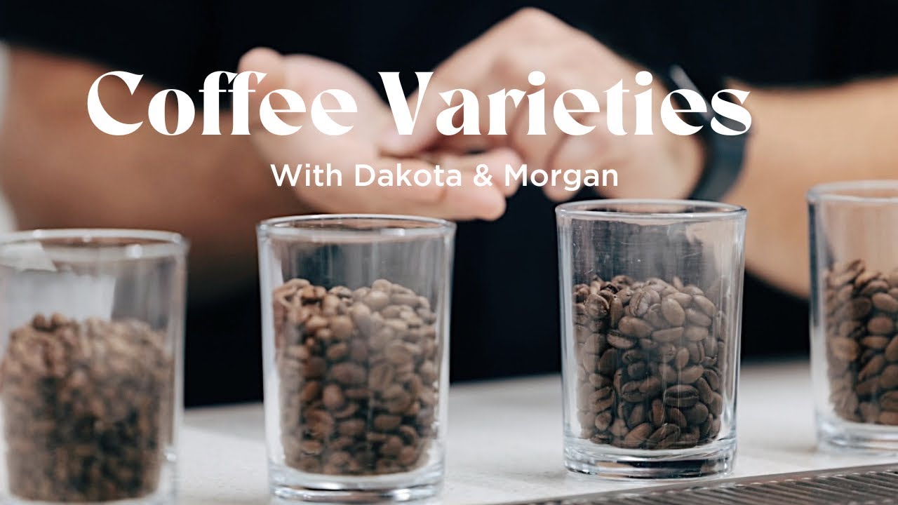 Morgan & Dakota Discuss Coffee Varieties