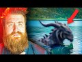 Disturbing Unsolved Mysteries Within Our Lakes